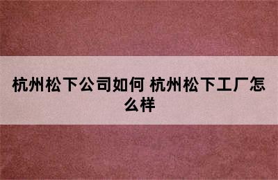 杭州松下公司如何 杭州松下工厂怎么样